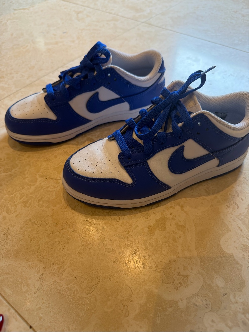 Nike authentic low dunk blue and white youth boys sneakers size 3Y
